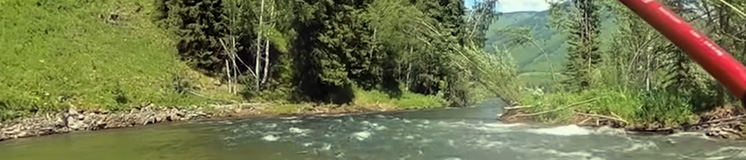 Рыбалка на Алтае