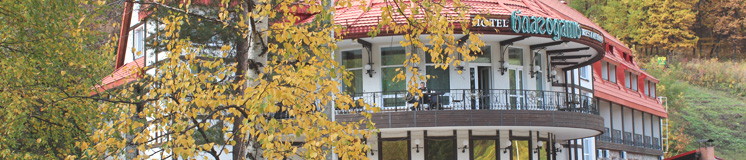 Отель Благодать