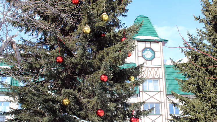 Новогодний шум в Белокурихе