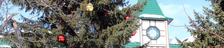 Шум в Новый год