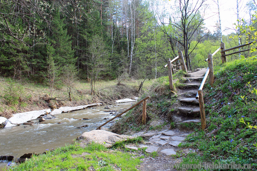 Бережок корень. Река Белокуриха. Спуск к реке. Лестница спуск к реке. Лестница для спуска в воду.